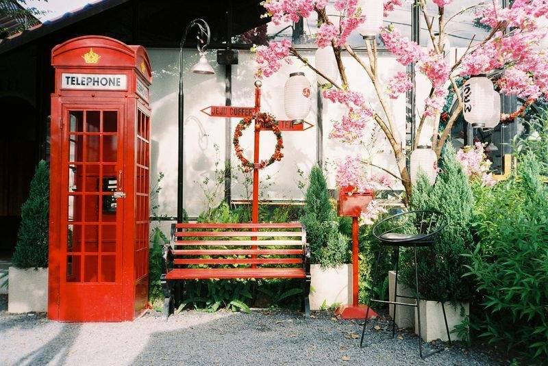 Die Schönheit der Frühlingsblumen